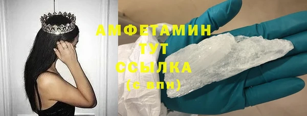 сатива Белая Холуница