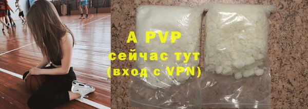 сатива Белая Холуница