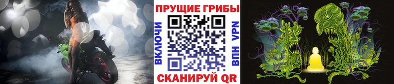 Псилоцибиновые грибы MAGIC MUSHROOMS  mega зеркало  Изобильный 