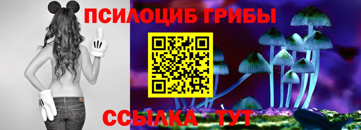 Псилоцибиновые грибы Psilocybe  Вход с VPN  Изобильный 